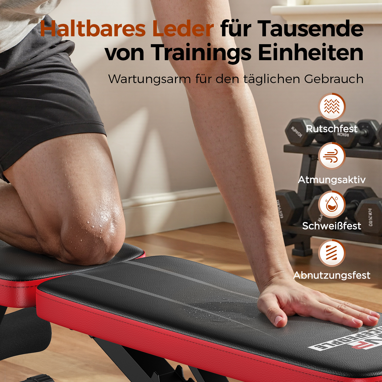 Ein Mann auf einer Trainingsbank, daneben Hanteln und Text zu Eigenschaften.