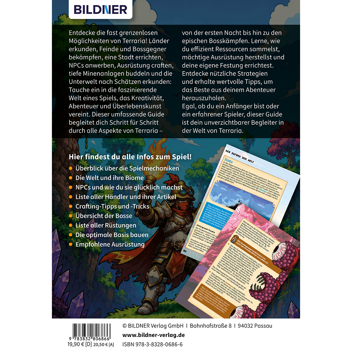 Ein Buchcover für ein Terraria-Spiel mit Text und einem Ritterbild.