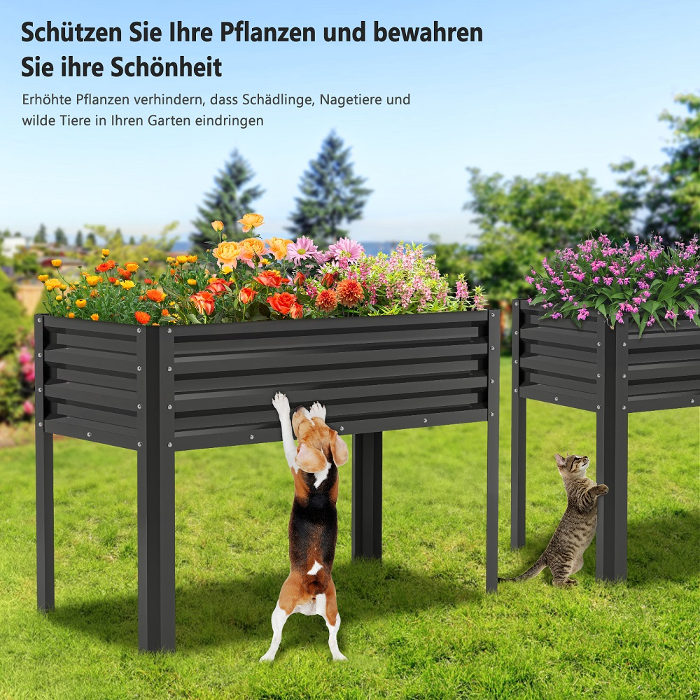 Ein Hund klettert an einem Hochbeet, eine Katze steht daneben.