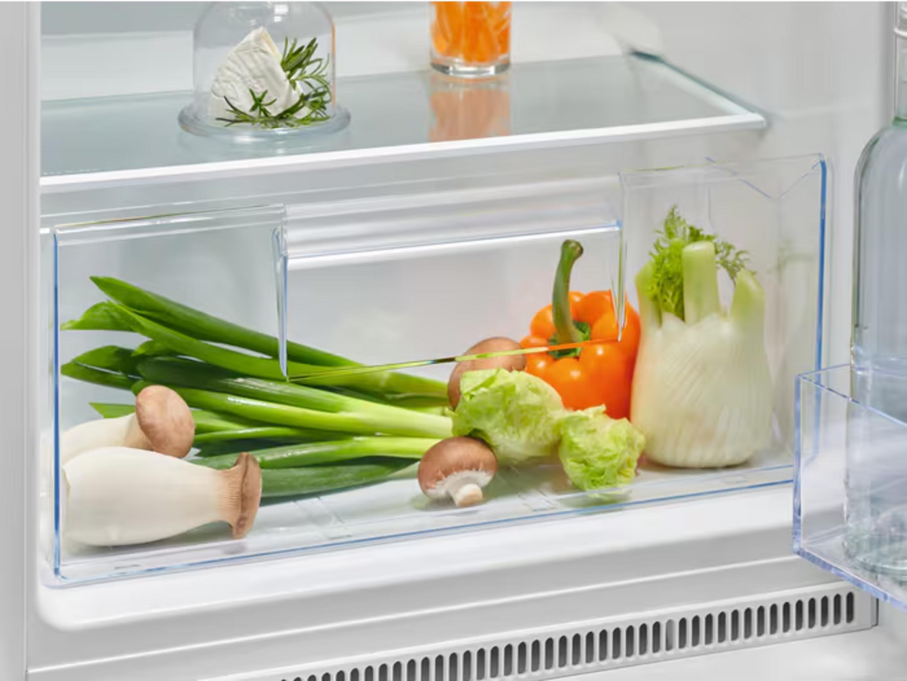 Verdure fresche come cipollotti, funghi, peperone e finocchio in un cassetto del frigorifero.