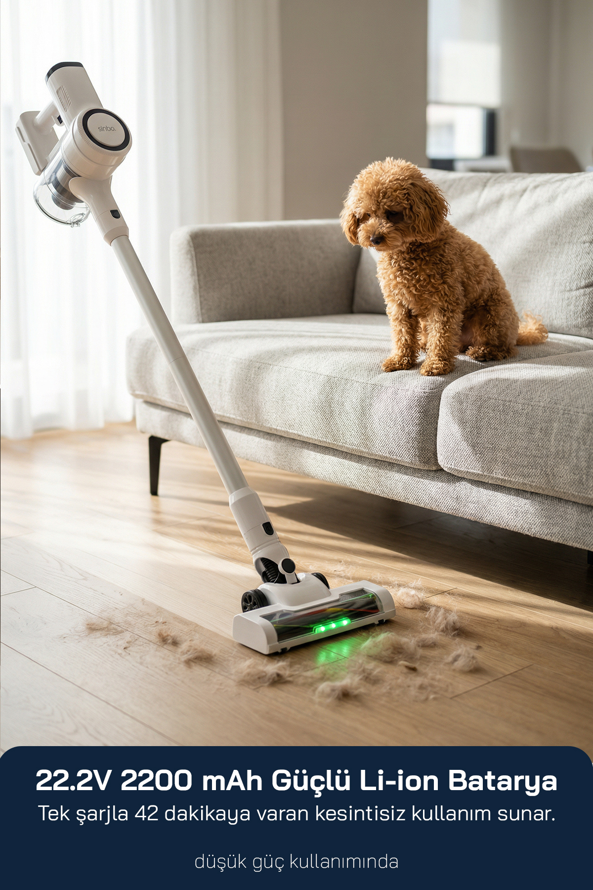 Bir köpek, elektrikli süpürge yeri temizlerken koltukta oturuyor.