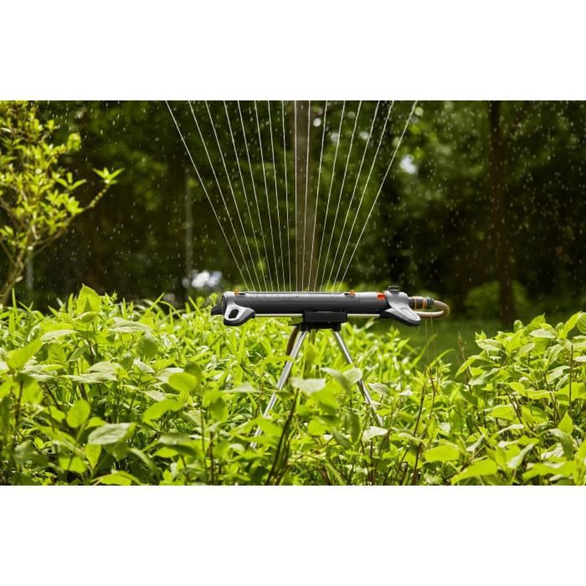 Un irrigatore da giardino spruzza acqua su un lussureggiante fogliame verde su un treppiede.