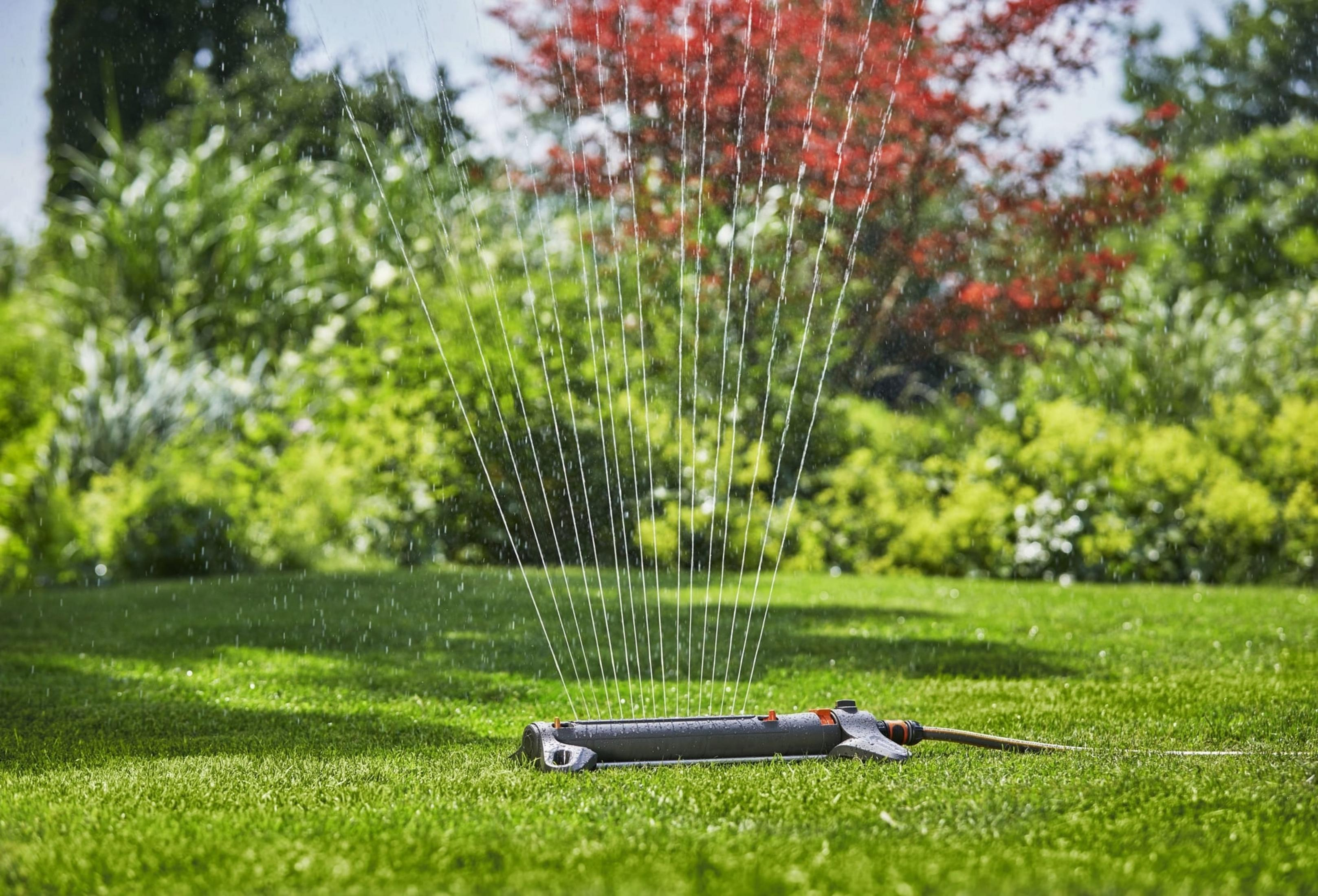 Un irrigatore innaffia un prato verde di fronte a una vegetazione lussureggiante e un albero rosso.