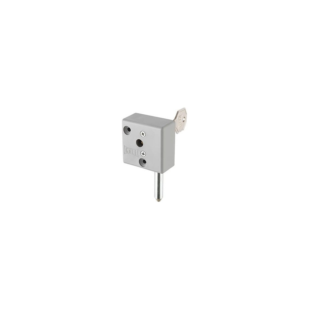 Anahtarlı gri metal sürgü.