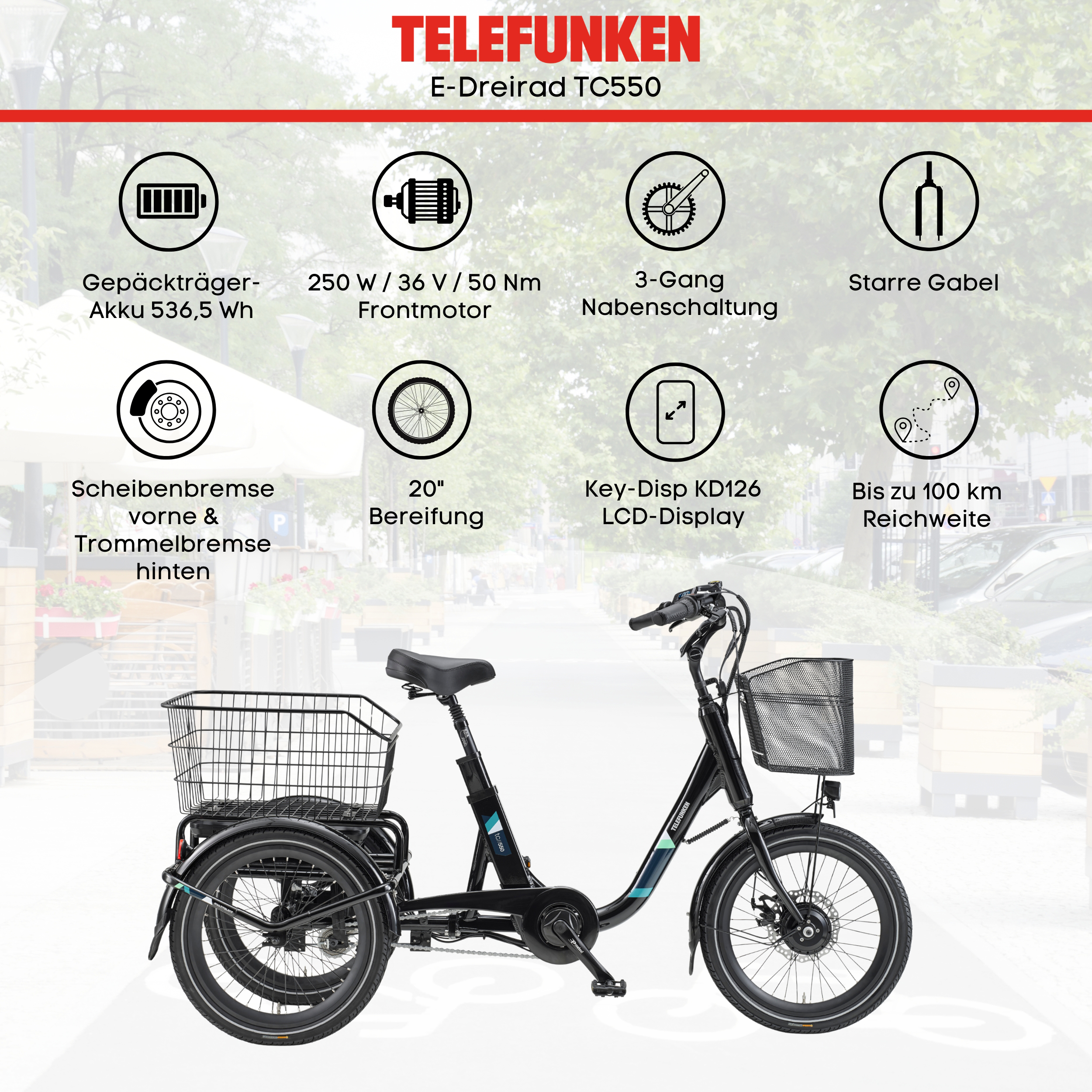 Ein schwarzes Telefunken E-Dreirad TC550 mit Körben vorne und hinten.