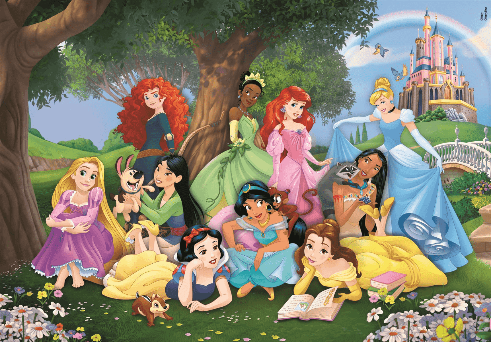 Las princesas de Disney posan al aire libre con un castillo de fondo.
