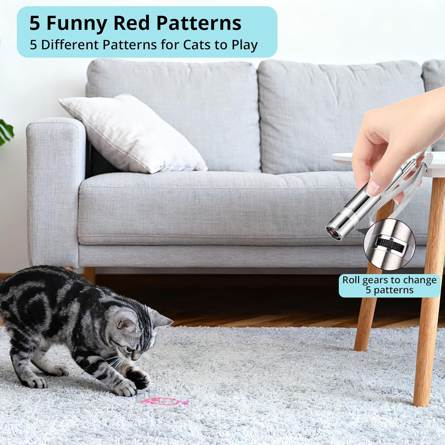 Eine Katze jagt einen roten Laserpunkt auf einem flauschigen Teppich vor einem Sofa.