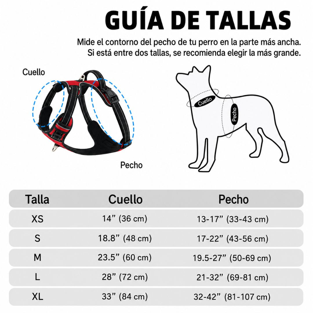 Guía de tallas para arneses de perro con medidas de cuello y pecho.