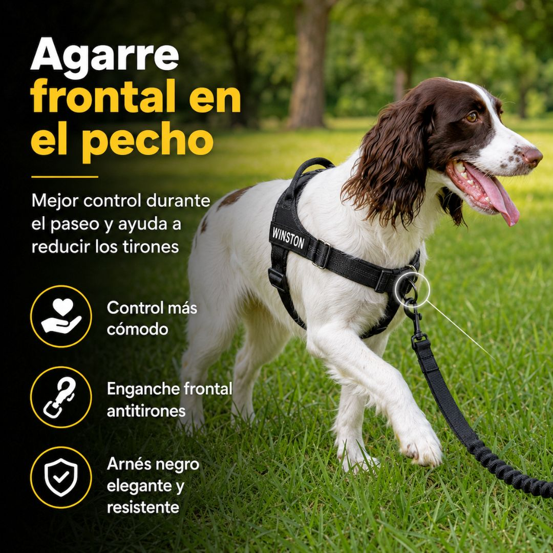 Un perro con arnés y correa camina sobre el césped.