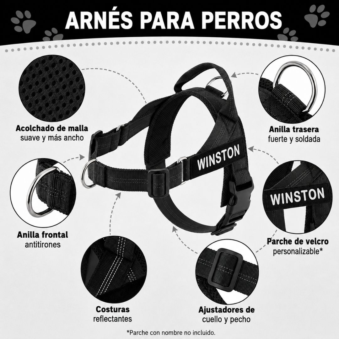 Arnés negro para perros con características: acolchado de malla, anillas, costuras.