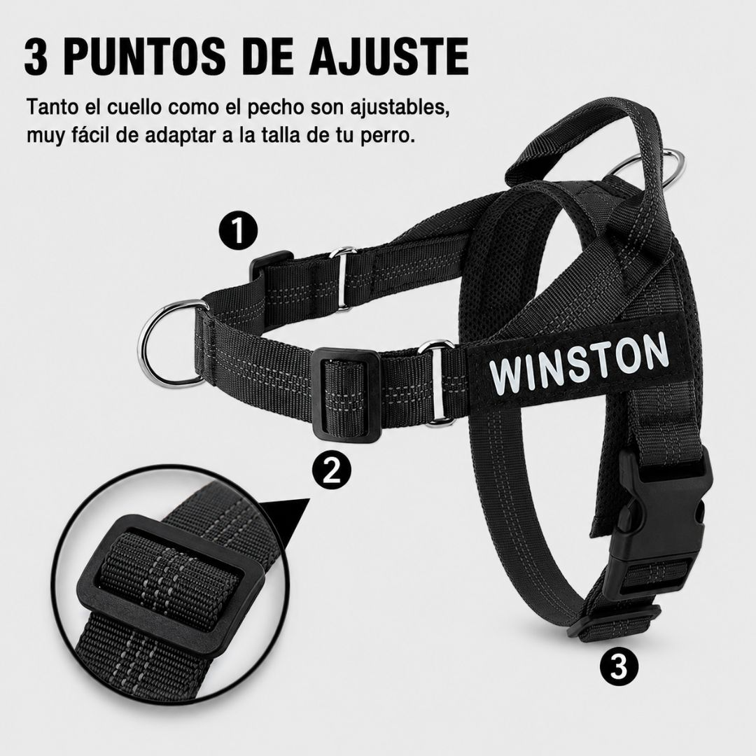 Arnés negro para perro con tres puntos de ajuste y el nombre WINSTON.