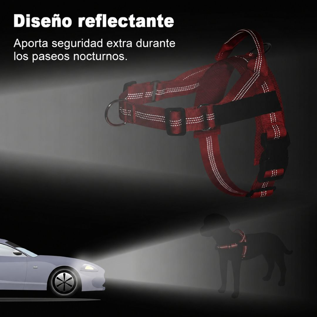Arnés reflectante para perros con rayas brillantes, iluminado por faros de coche.