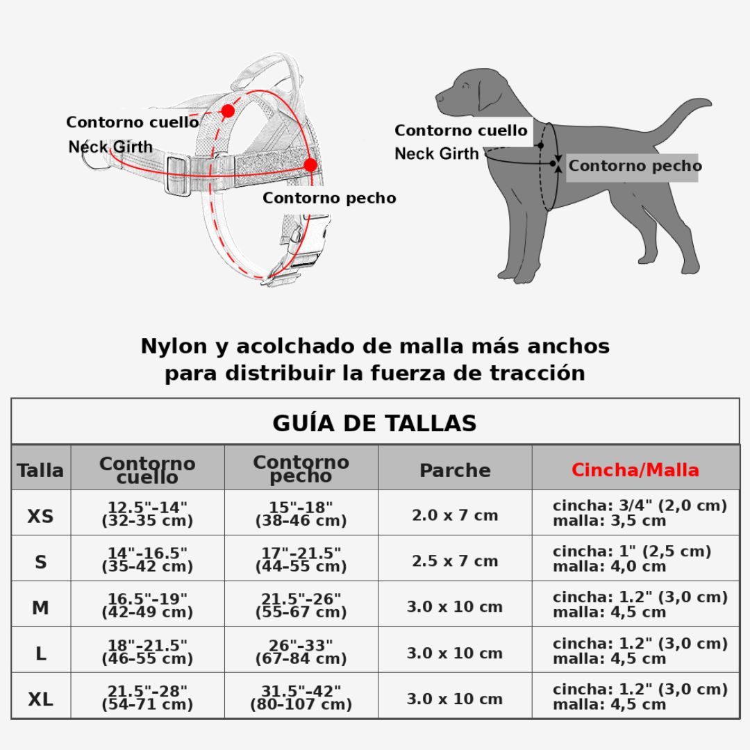 Diagrama de una tabla de tallas de arnés para perros mostrando cuello y pecho.