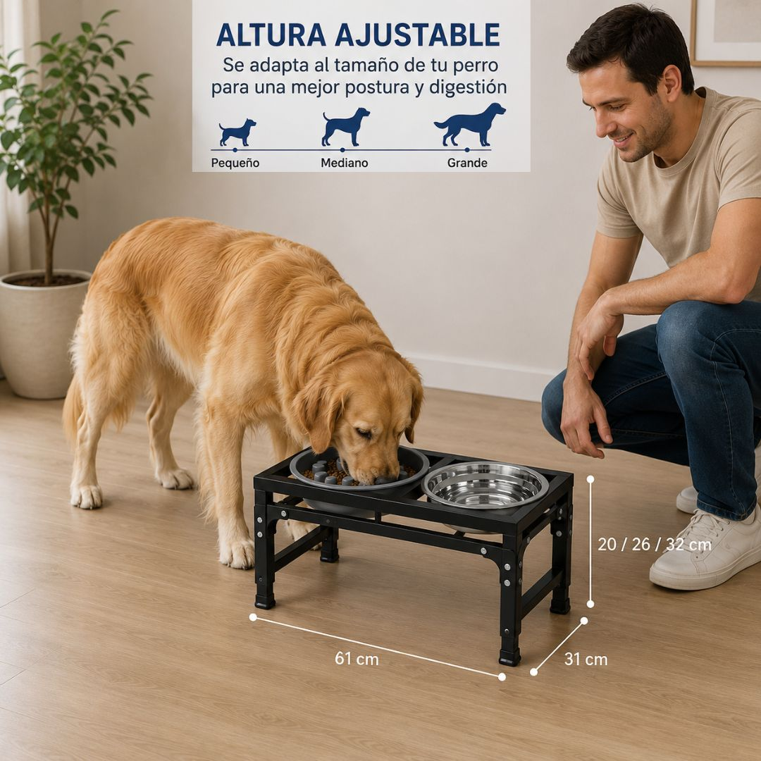 Un Golden Retriever come de un comedero elevado. Un hombre se arrodilla a su lado.