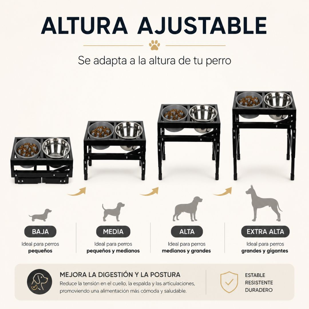 Soportes ajustables para perros en cuatro alturas, de pequeños a gigantes.