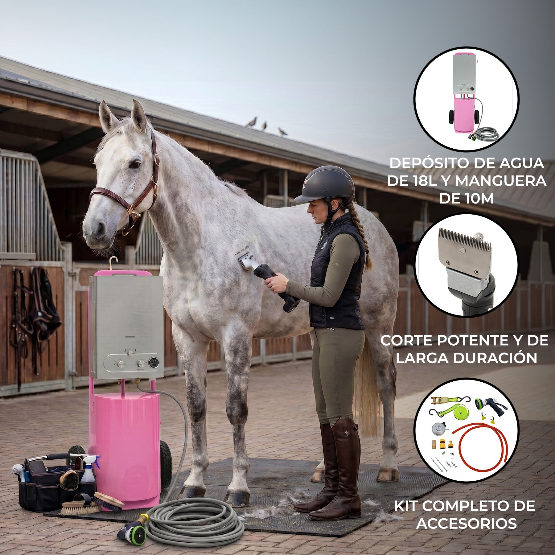 Una mujer recorta un caballo blanco con una podadora en un establo. Se ven accesorios.