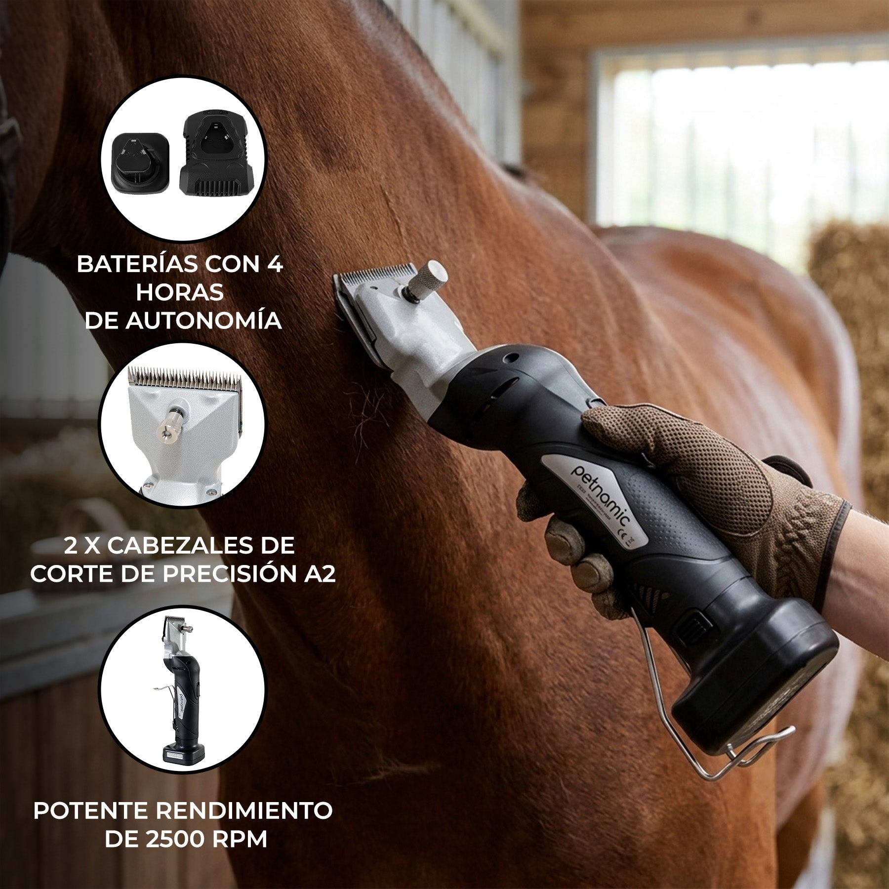 Una persona usa una cortapelos inalámbrica en un caballo marrón. Tiene 4 horas de batería.