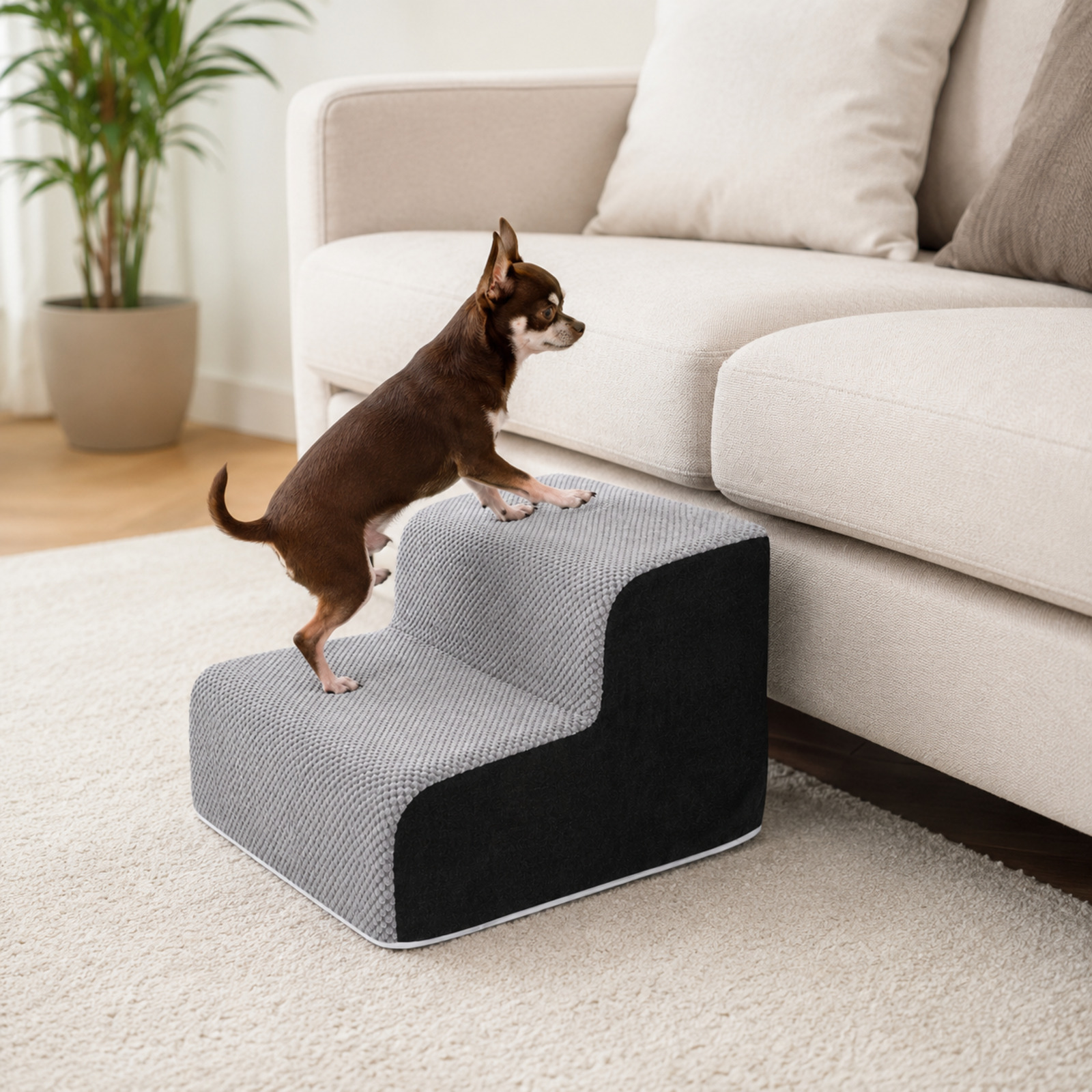 Un Chihuahua marrón sube una escalera para perros gris junto a un sofá.