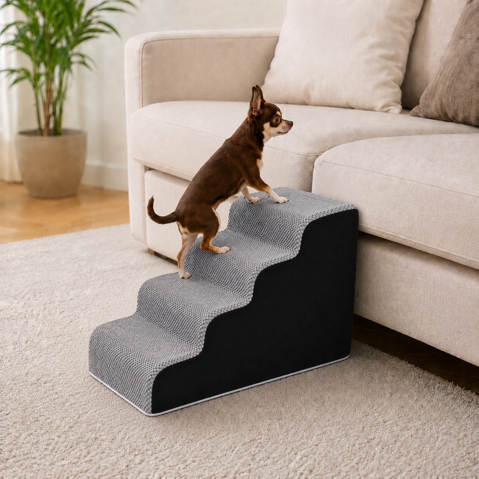 Un perro marrón pequeño se para en escalones grises junto a un sofá.