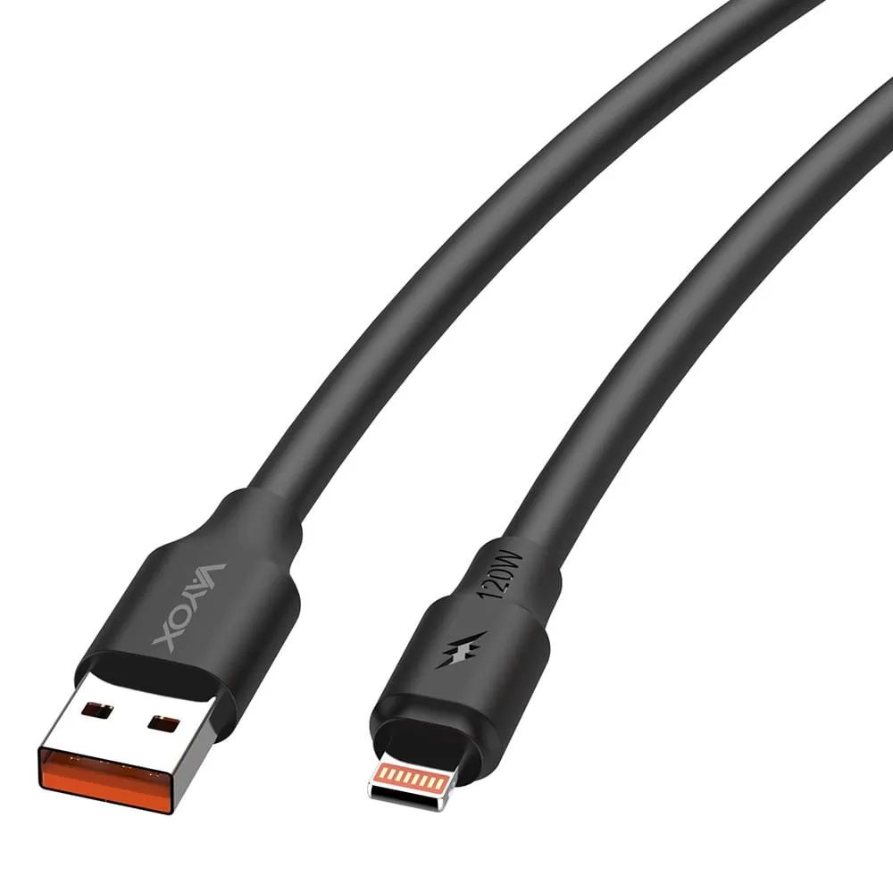 Ein schwarzes USB-C-Ladekabel mit einem USB-A-Anschluss und einem Blitzanschluss.