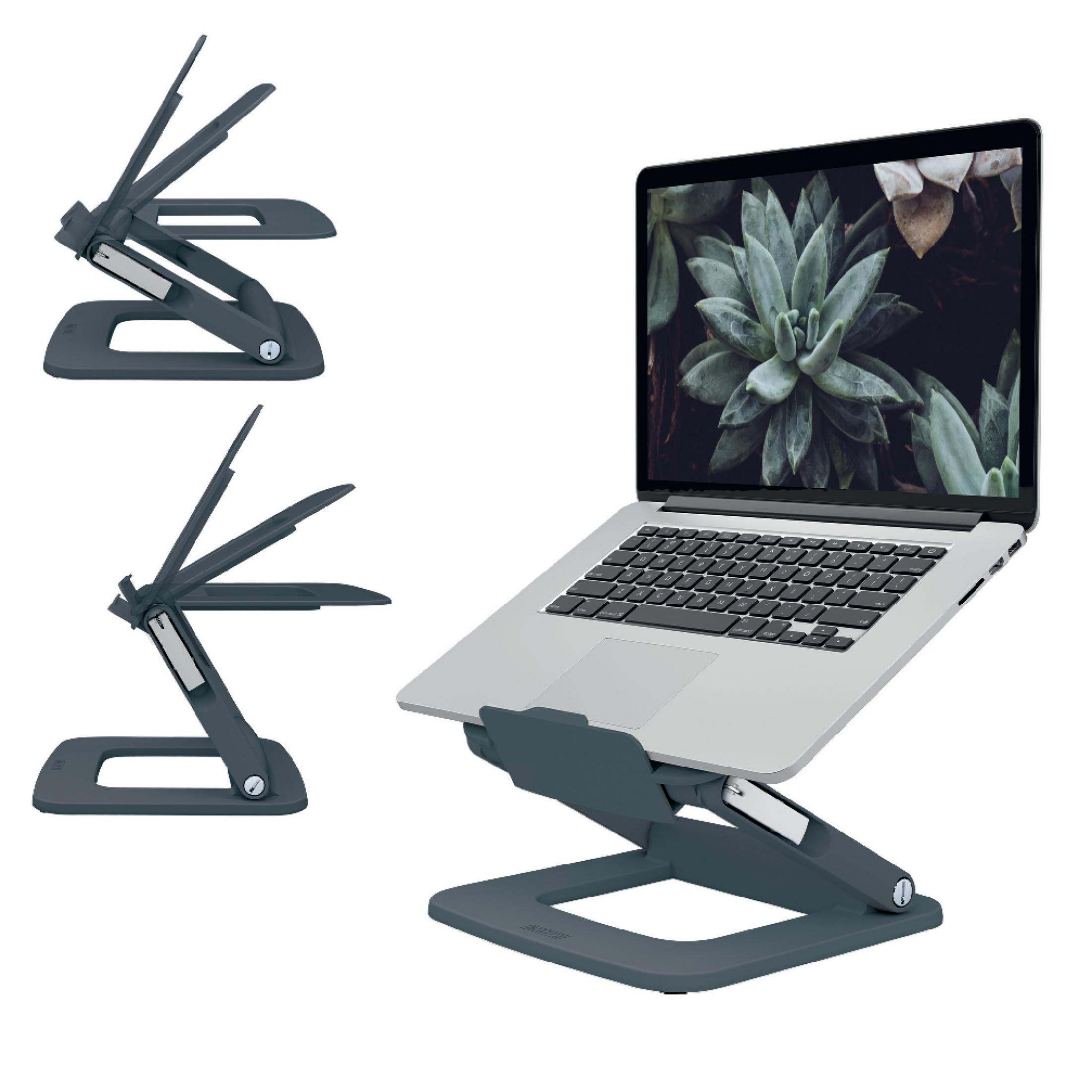 Supporto grigio per laptop con un laptop che visualizza uno schermo di succulente.