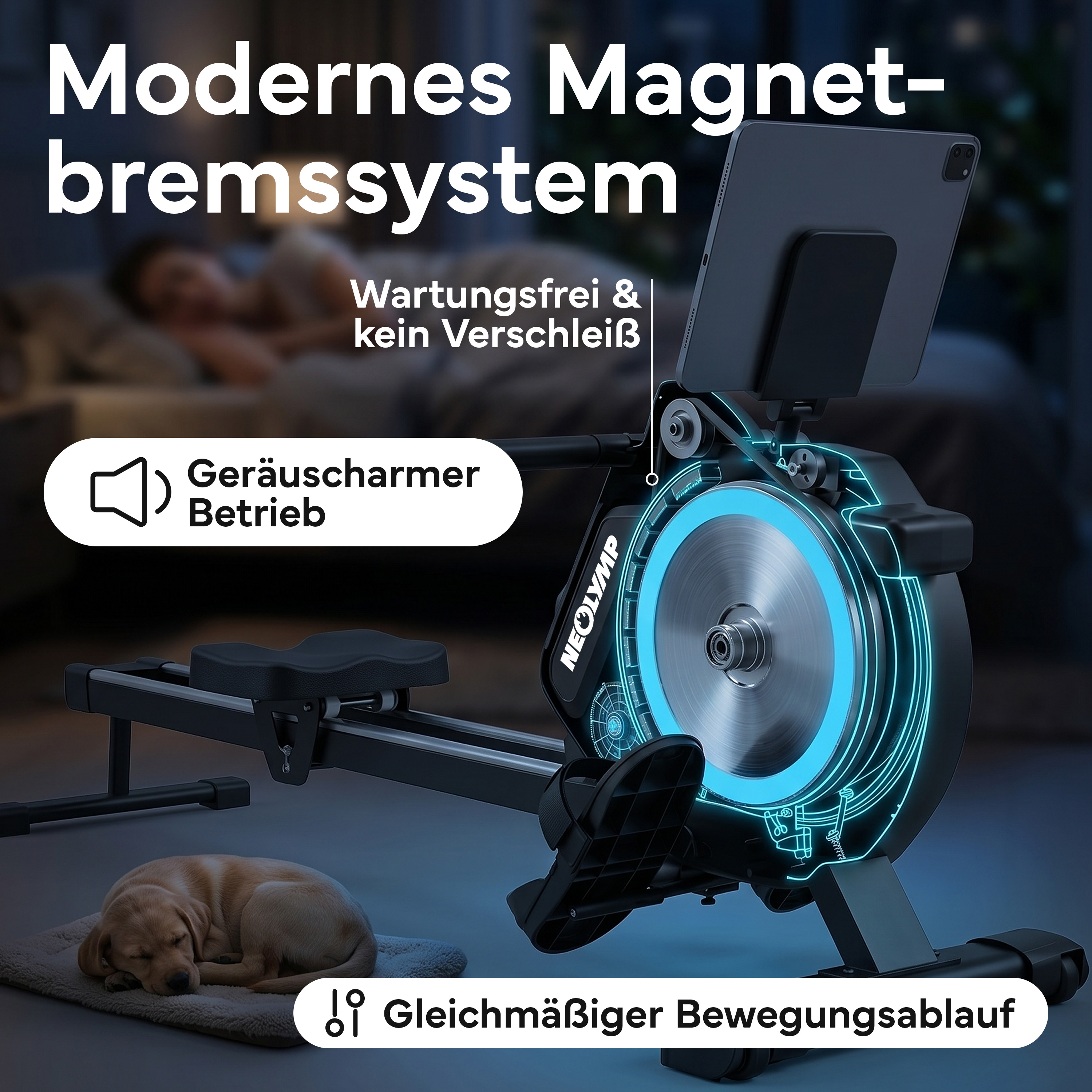 Ein Rudergerät mit Magnetbremssystem, Tablet-Halterung und schlafendem Hund.