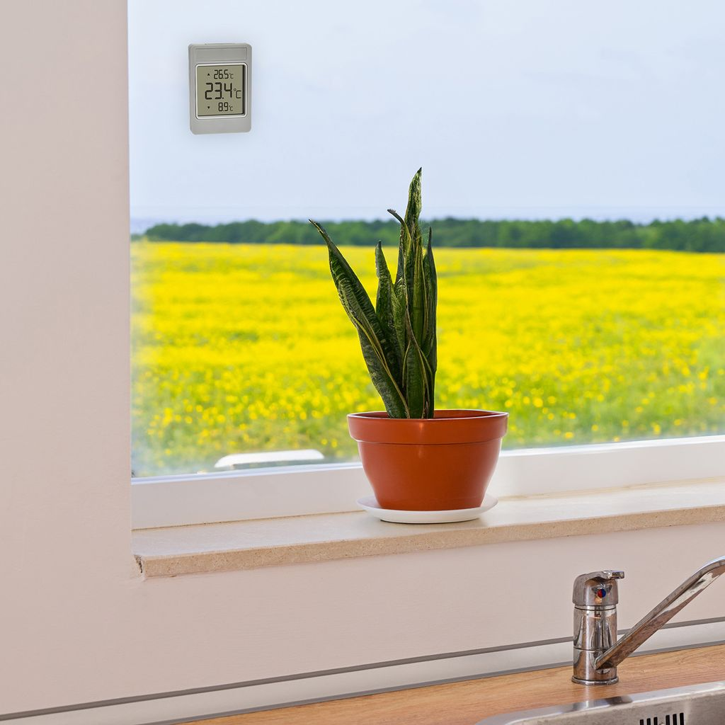 Ein Thermometer an einem Fenster mit Blick auf ein Feld voller gelber Blumen.