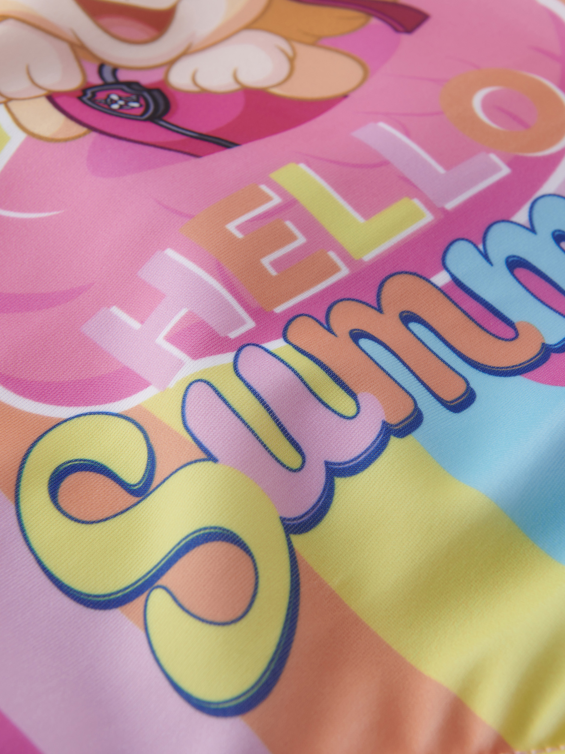 Ein Hundemotiv mit den Worten „HELLO SUMMER“ auf rosa und bunten Streifen.