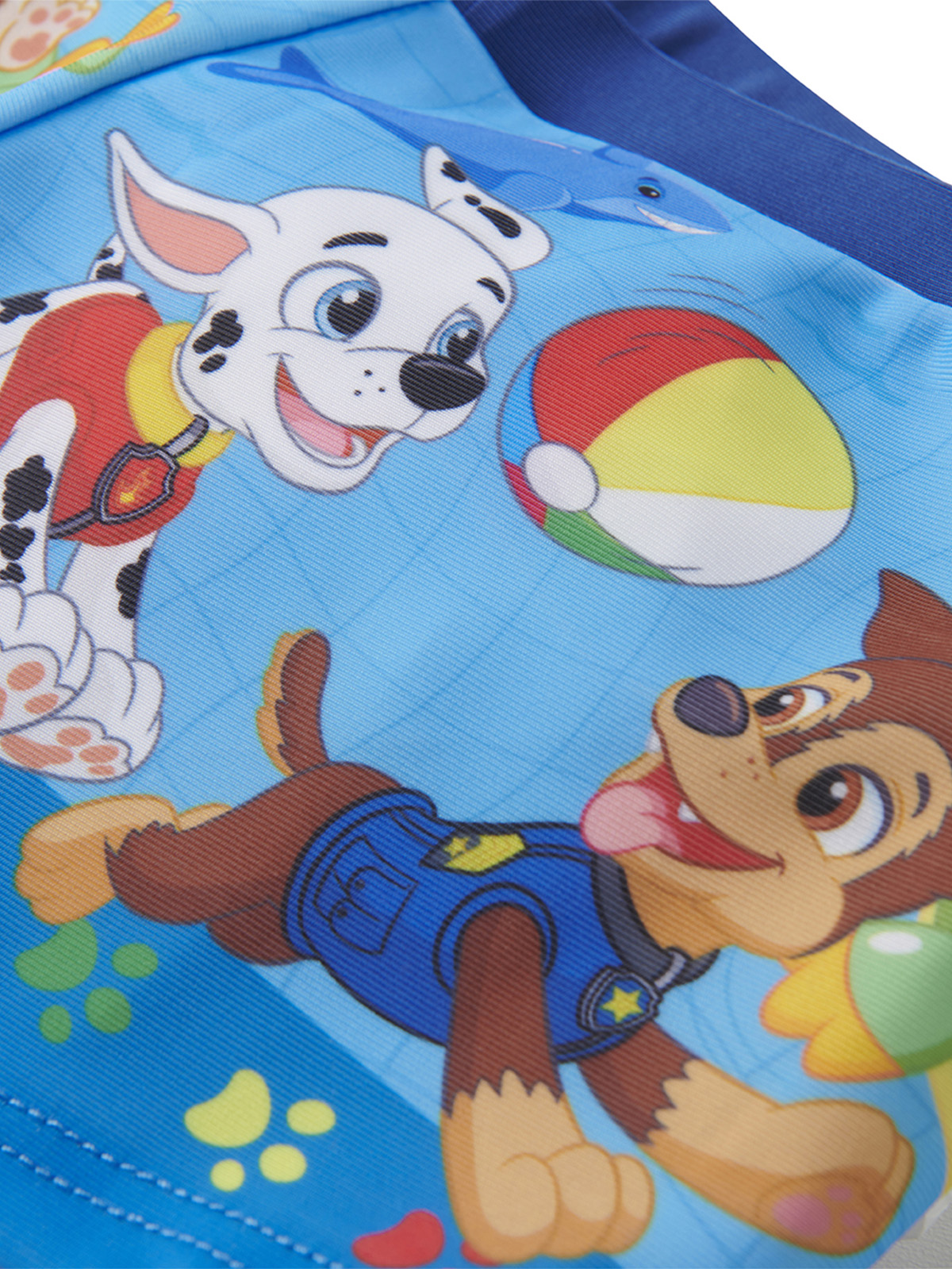 Paw Patrol Hunde auf blauem Hintergrund mit Ball und Delfin.