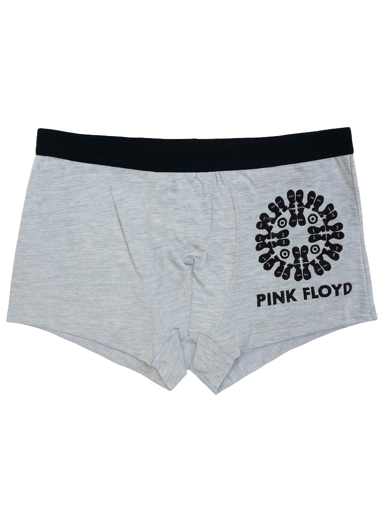 Graue Boxershorts mit schwarzem Bund und Pink Floyd-Logo.