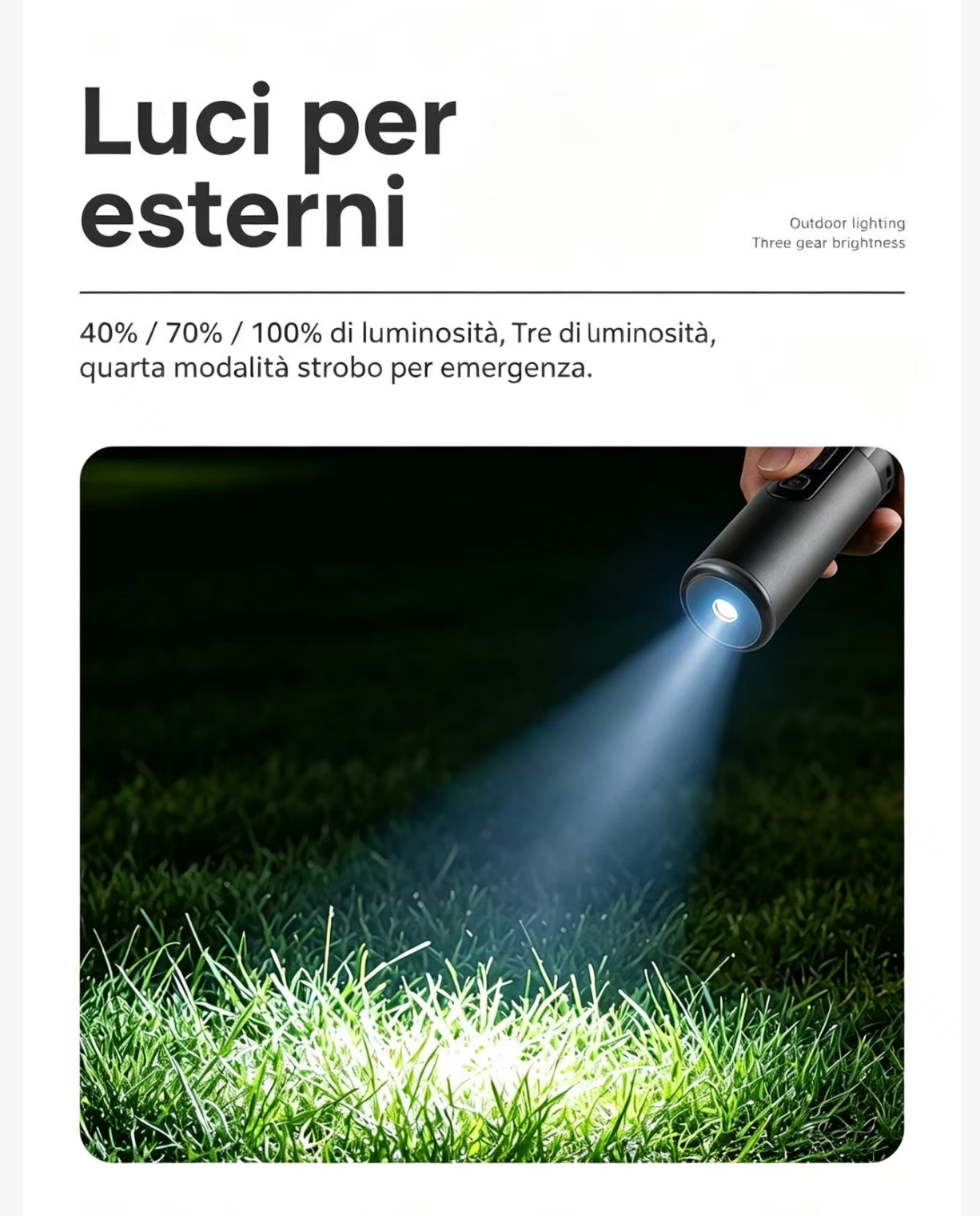 Una mano tiene una torcia che illumina erba verde.