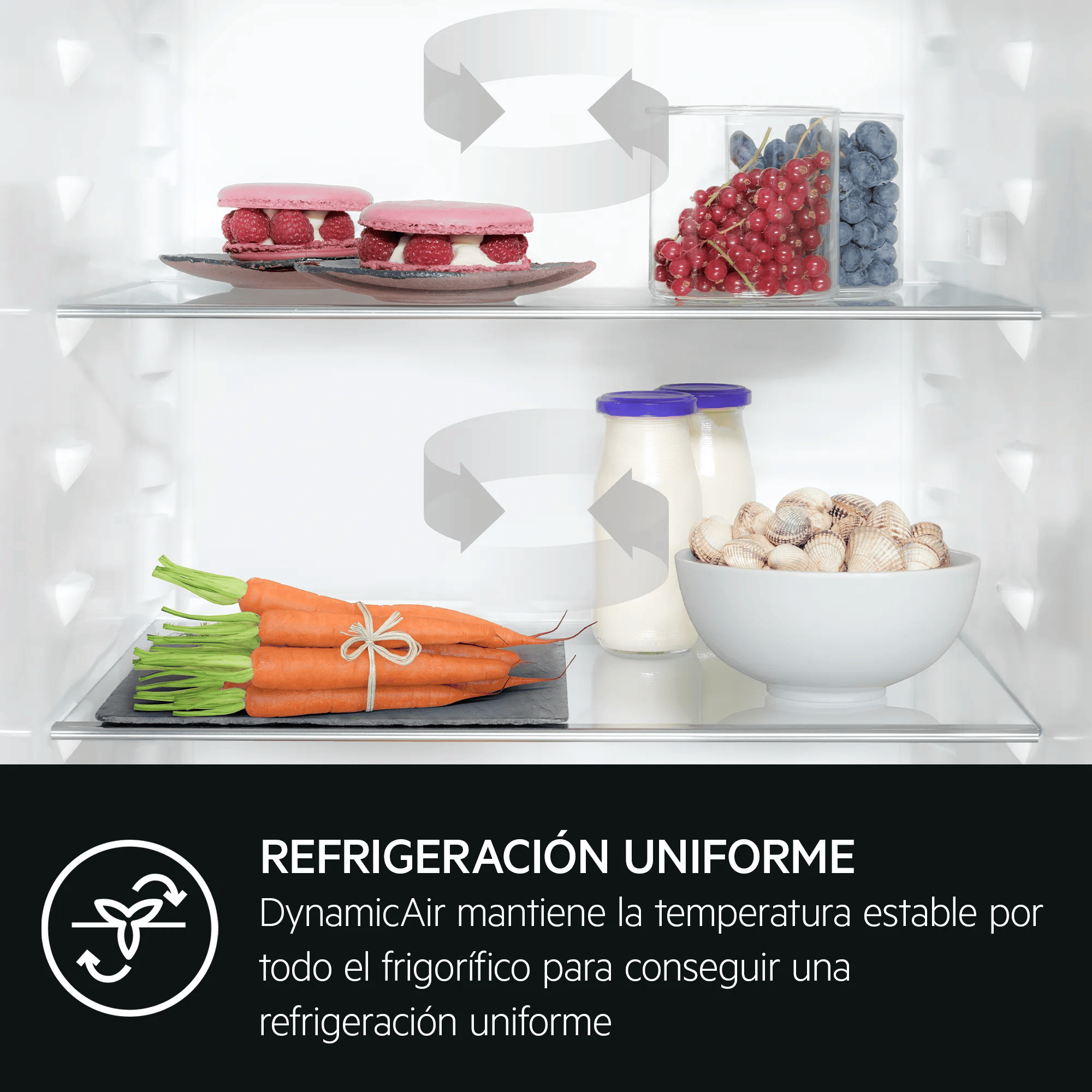 Macarons rosas con frambuesas, bayas, botellas y conchas en un refrigerador.