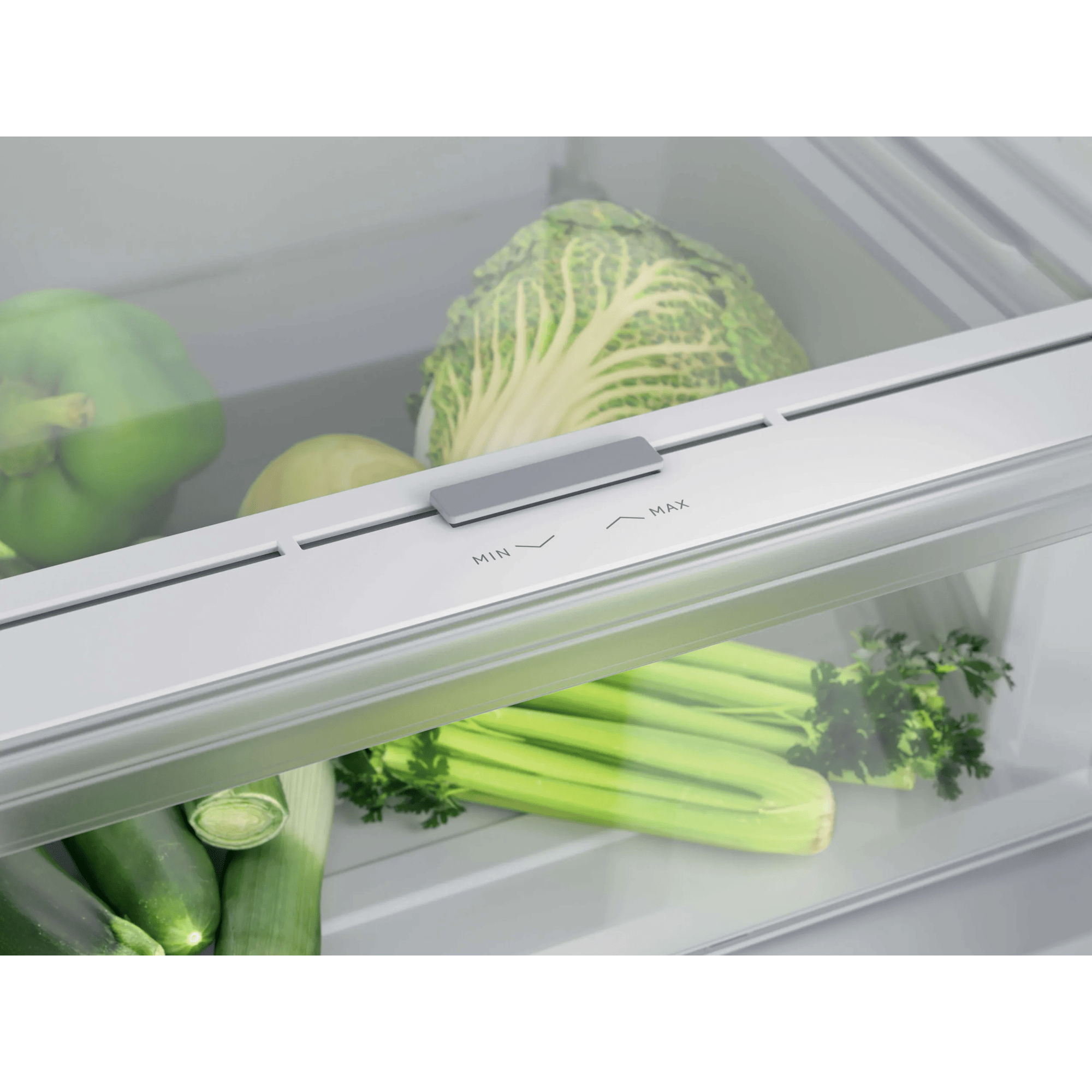 Verduras en un refrigerador: pimiento verde, lechuga, apio, pepinos y puerros.