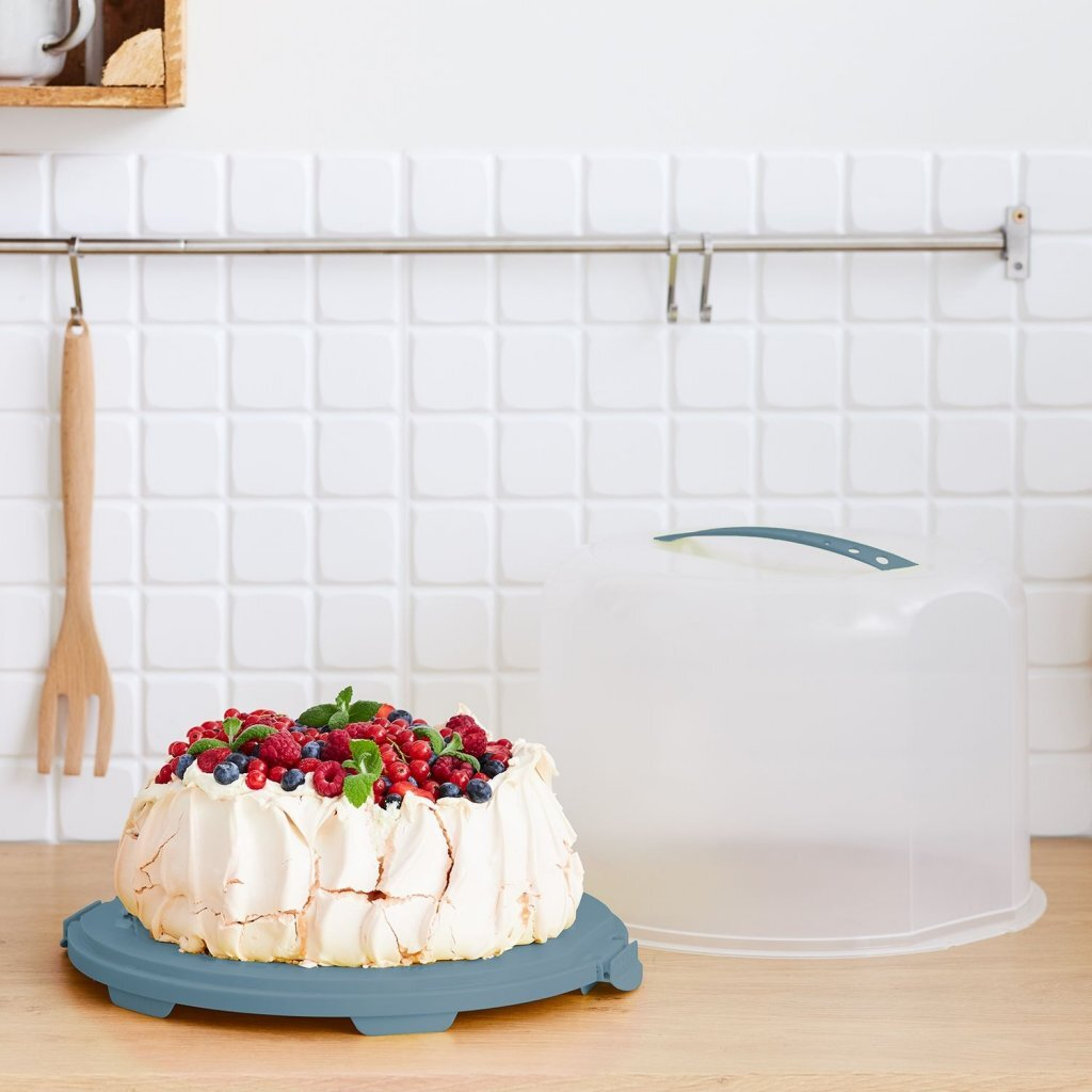 Pavlova-Torte mit Beeren auf einem grauen Teller neben einer durchsichtigen Kuppel.