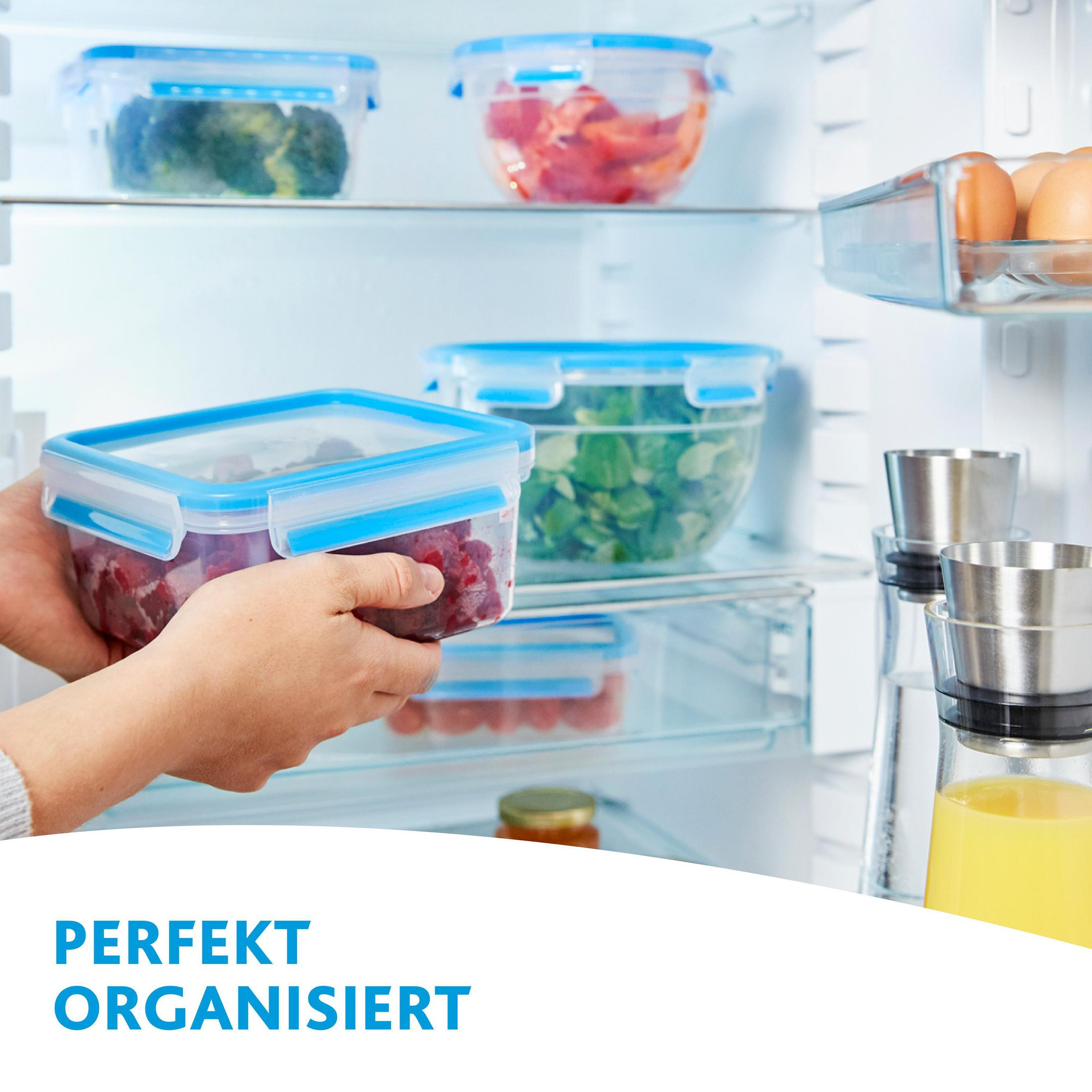 Eine Hand hält eine Frischhaltedose mit Beeren im Kühlschrank.