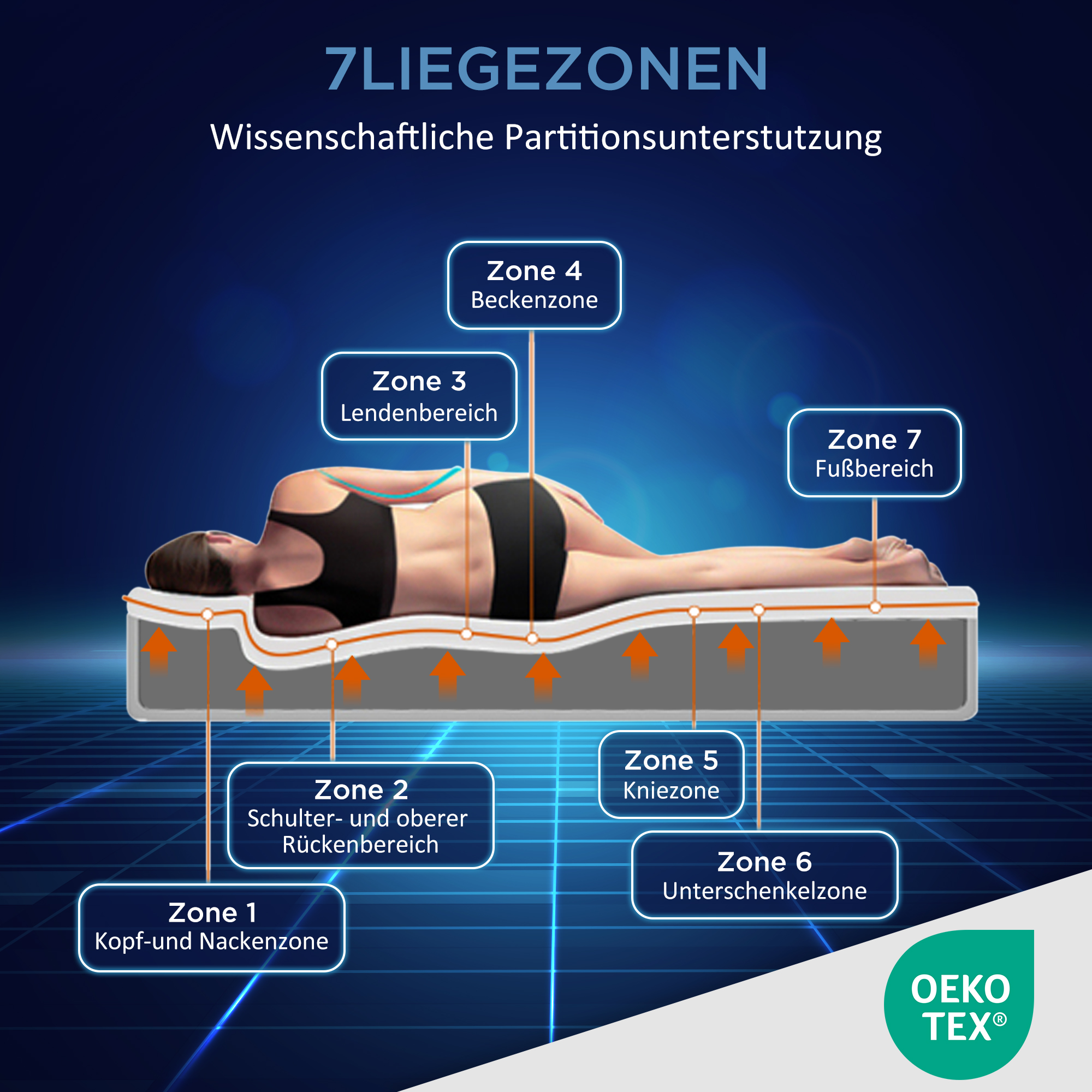 Illustration zeigt 7 Liegezonen einer Matratze mit einer schlafenden Person.