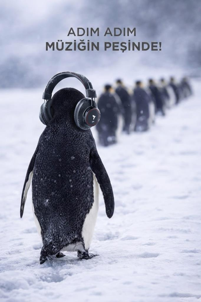 Kulaklıklı bir penguen karda duruyor, arkasında başka penguenler var.