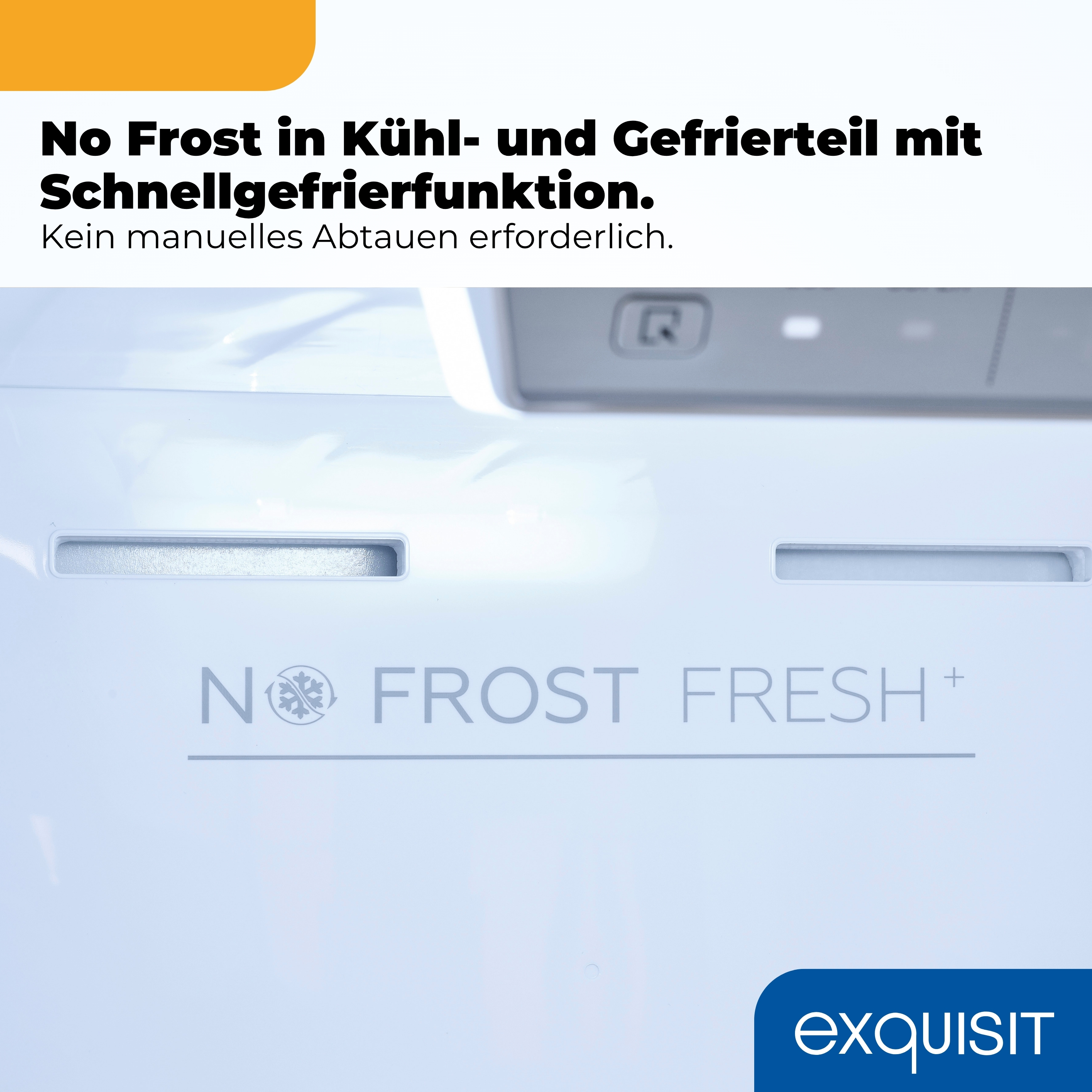 Innenansicht eines Kühlschranks mit 'No Frost Fresh'-Logo und Text.