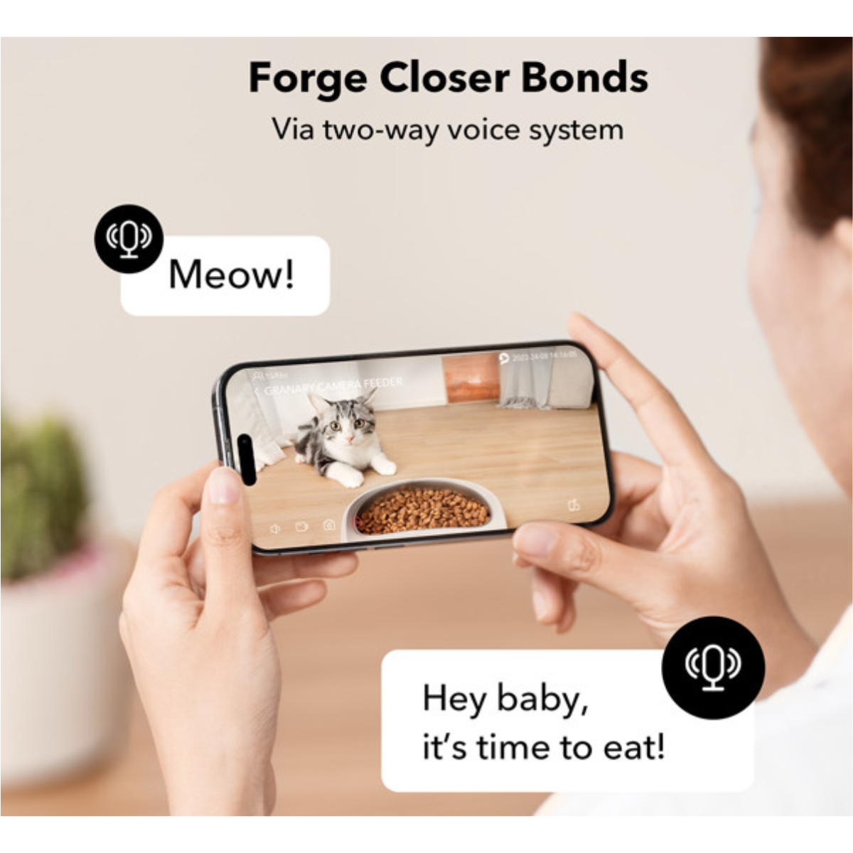 Una persona tiene uno smartphone che mostra un gatto con cibo. Testo: Meow!
