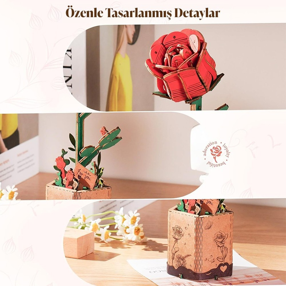 Trois scènes : rose rouge en bois, cactus vert en pot, pot en bois avec fleurs.