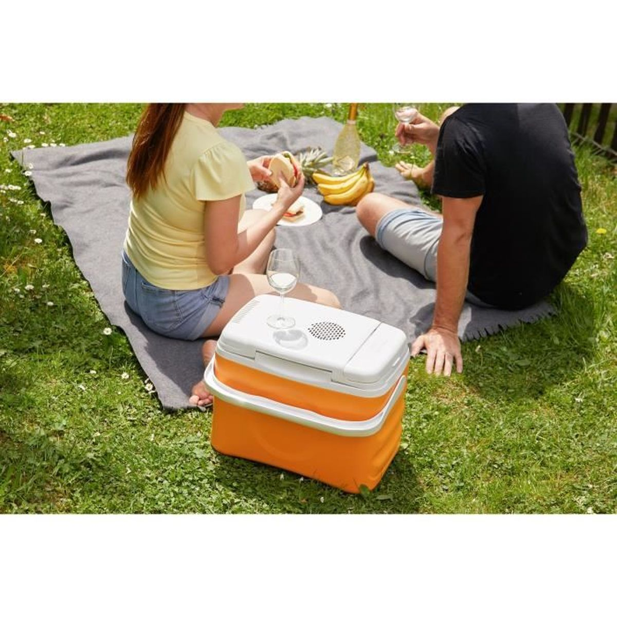 Ein Paar picknickt im Gras mit einer Kühlbox, Bananen und einer Flasche Champagner.