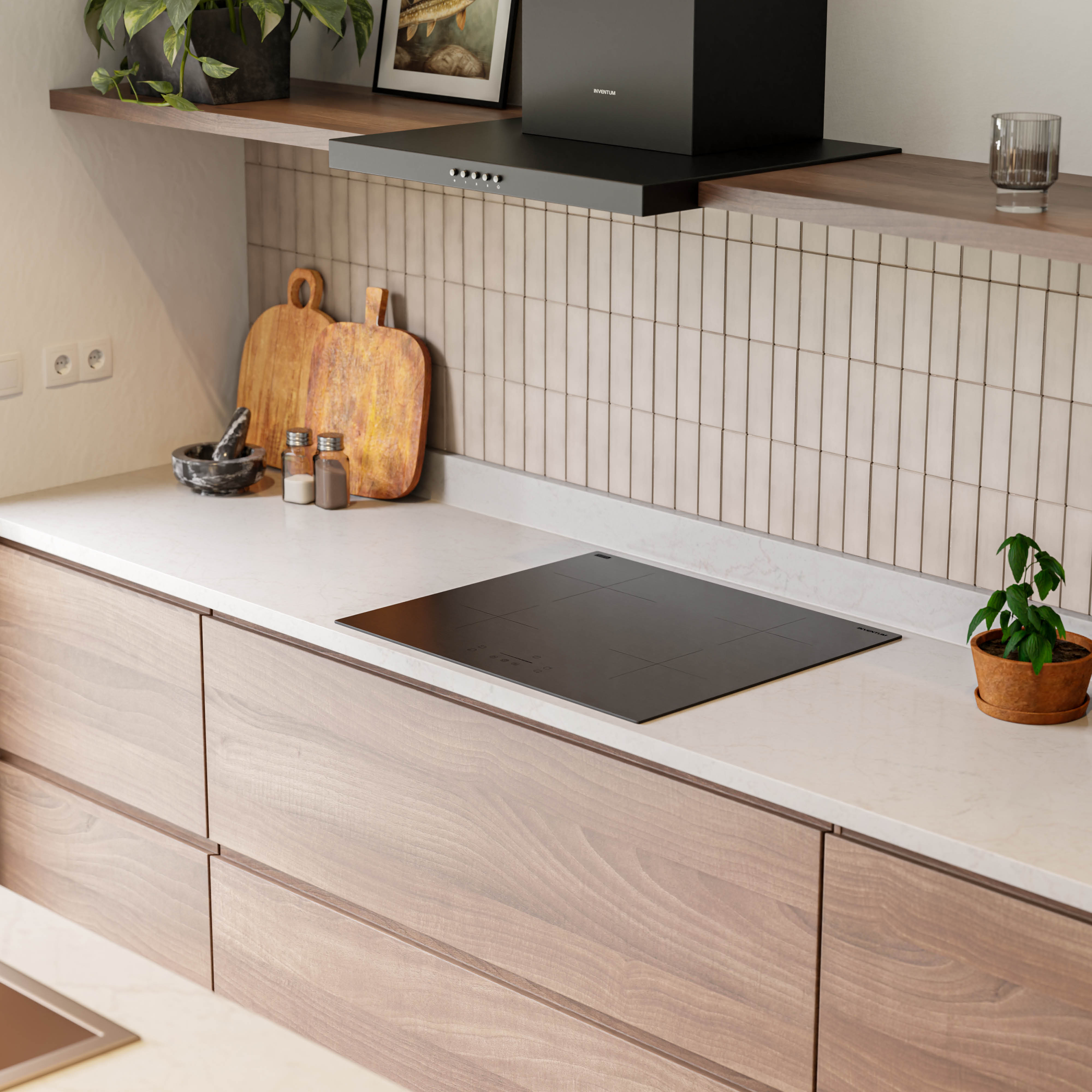 Modern kitchen with induction hob, wooden cabinets, and a shelf with plants.