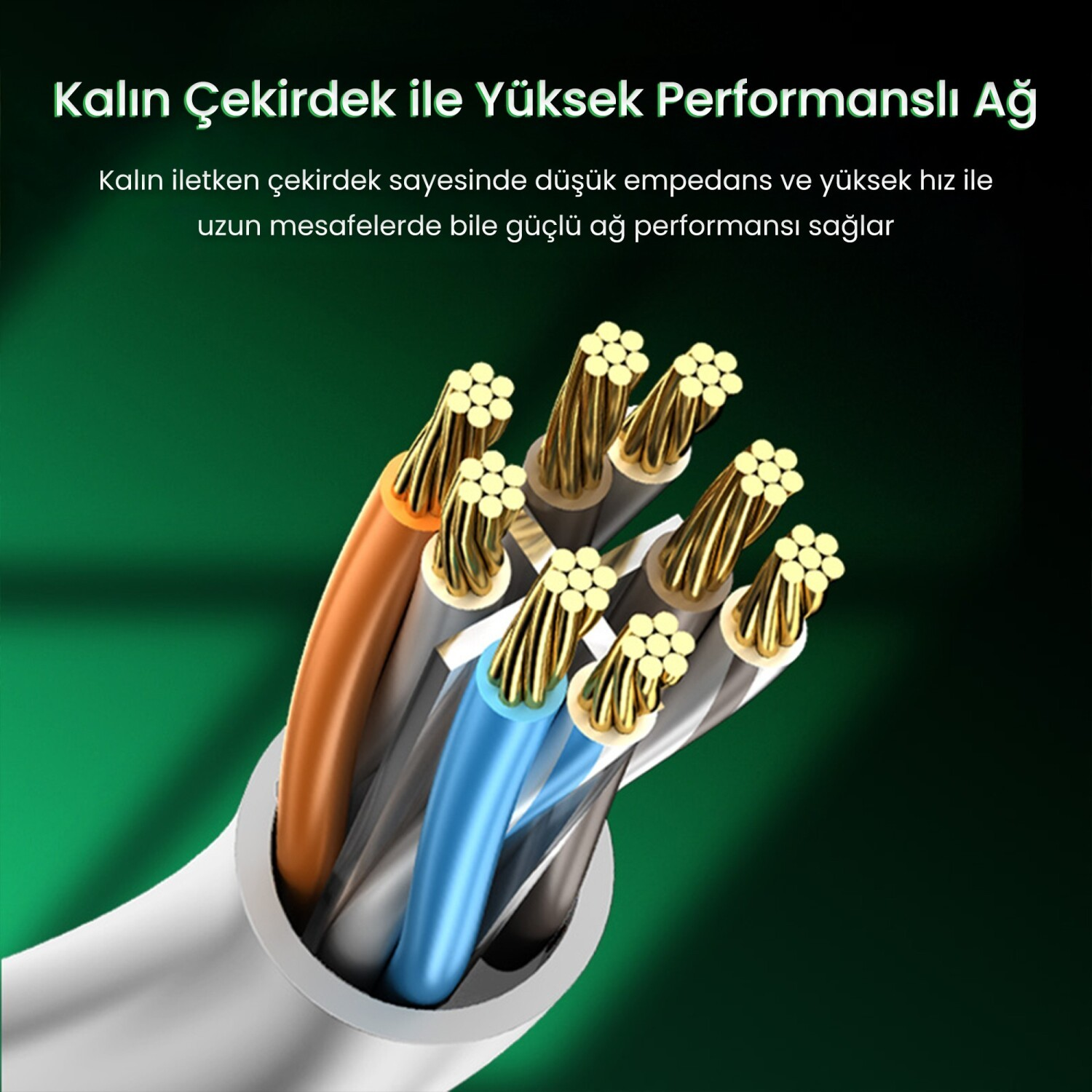 Çok sayıda renkli tel ve bakır damarlı Ethernet kablosunun yakın çekimi.