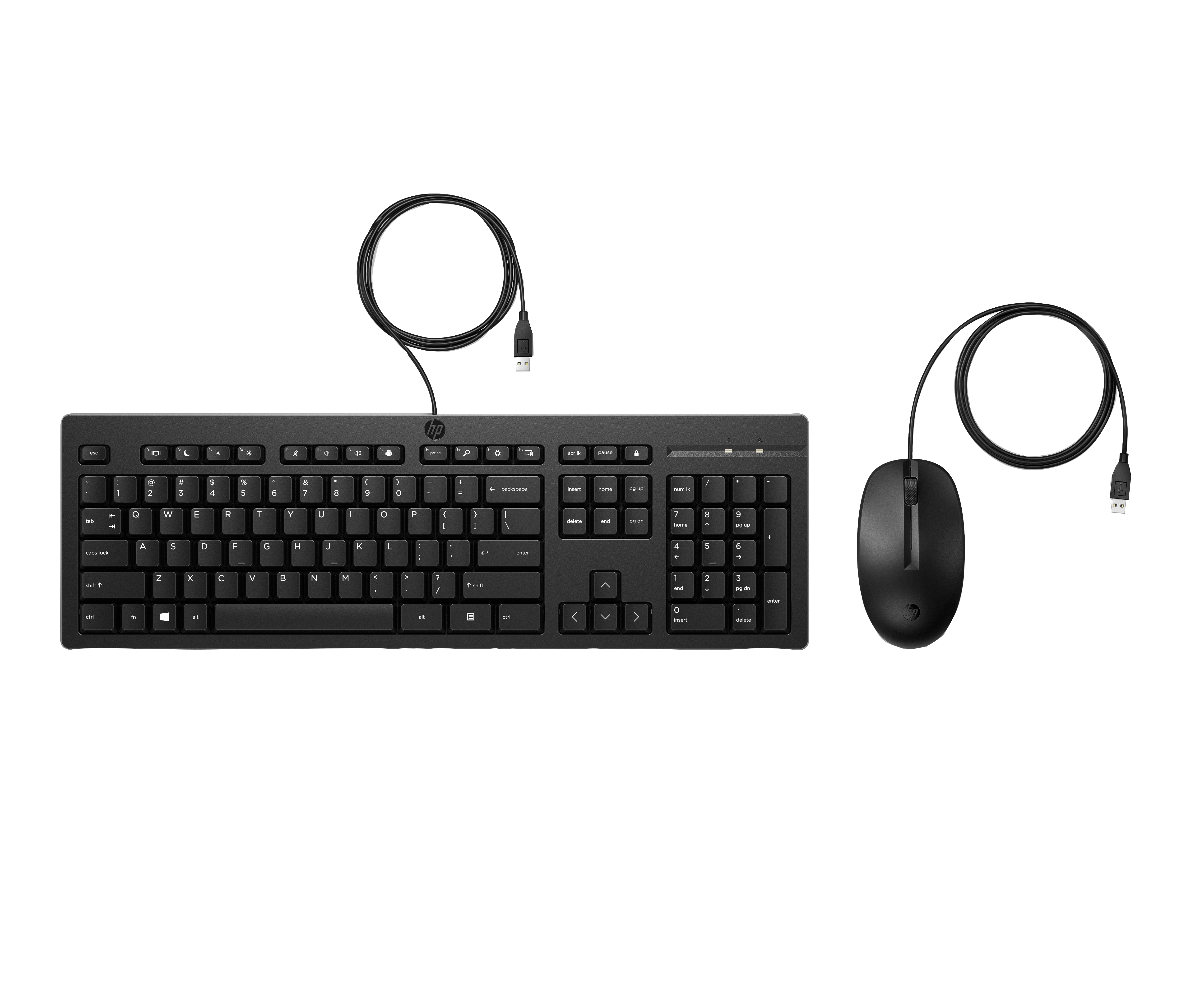 Tastiera e mouse HP neri con cavi USB su sfondo bianco.