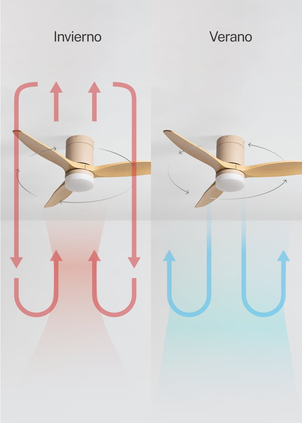 Ventilador de techo en modos invierno y verano con flechas de flujo.