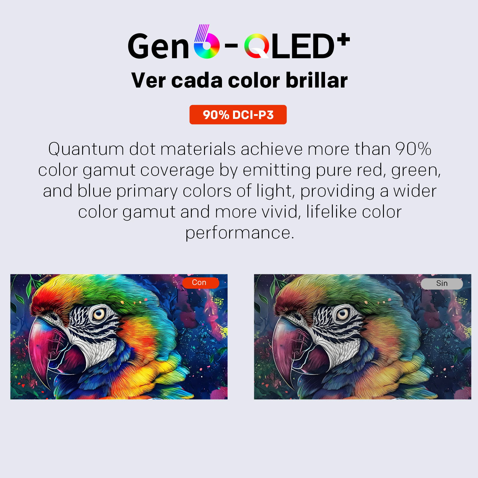 Un loro colorido con colores vibrantes, al lado de un loro con colores apagados.
