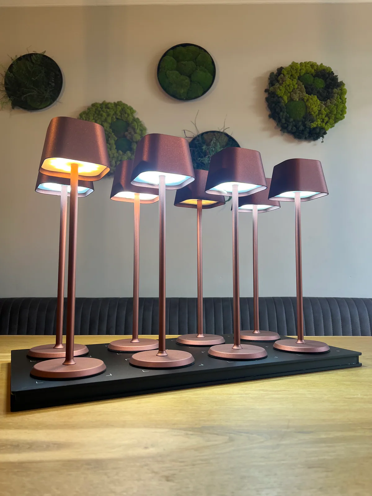 Sechs kupferfarbene Tischlampen auf einem schwarzen Ständer vor einer Wand mit Moosdekorationen.
