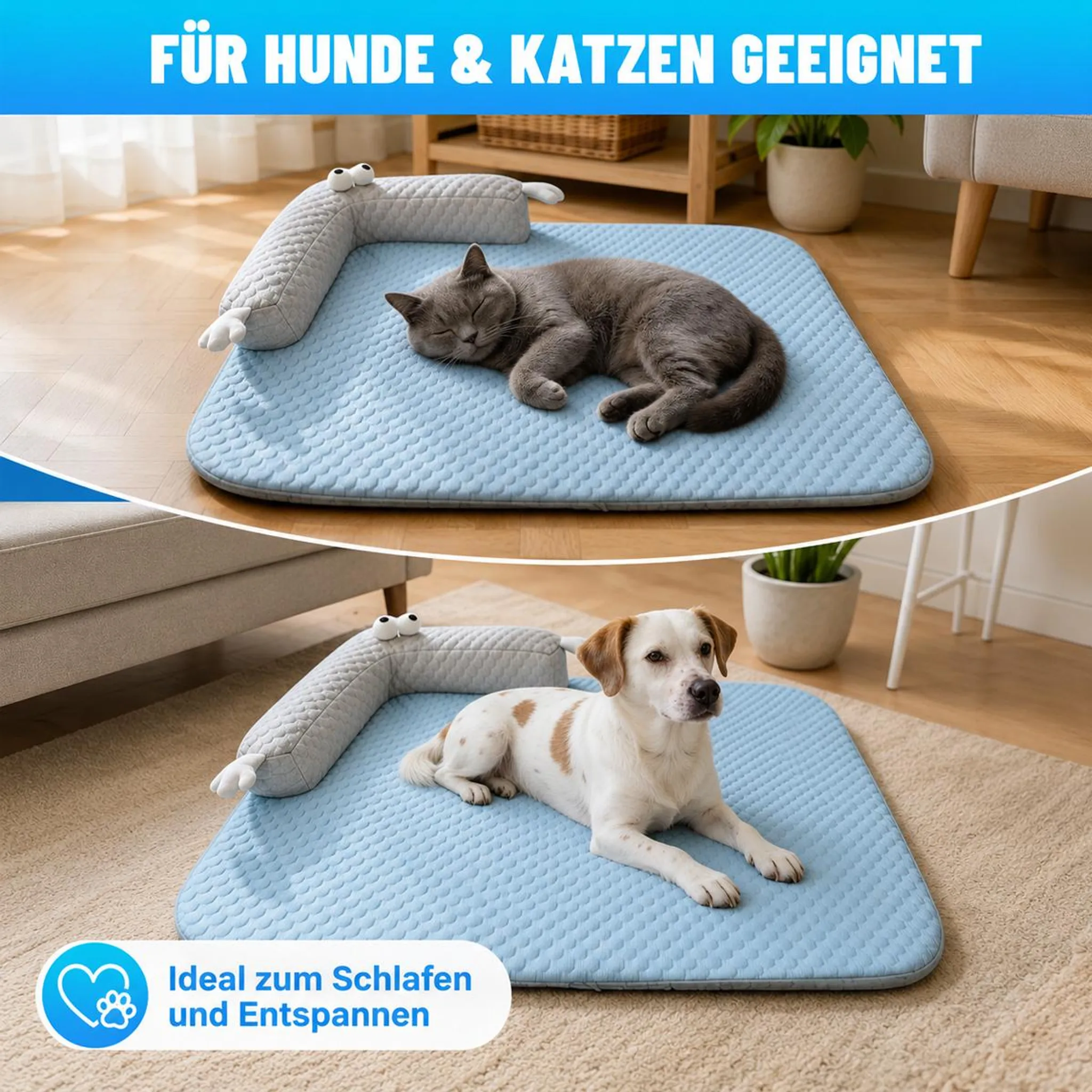 Ein grauer Kater schläft auf einer blauen Matte. Ein Hund liegt auf einer blauen Matte.