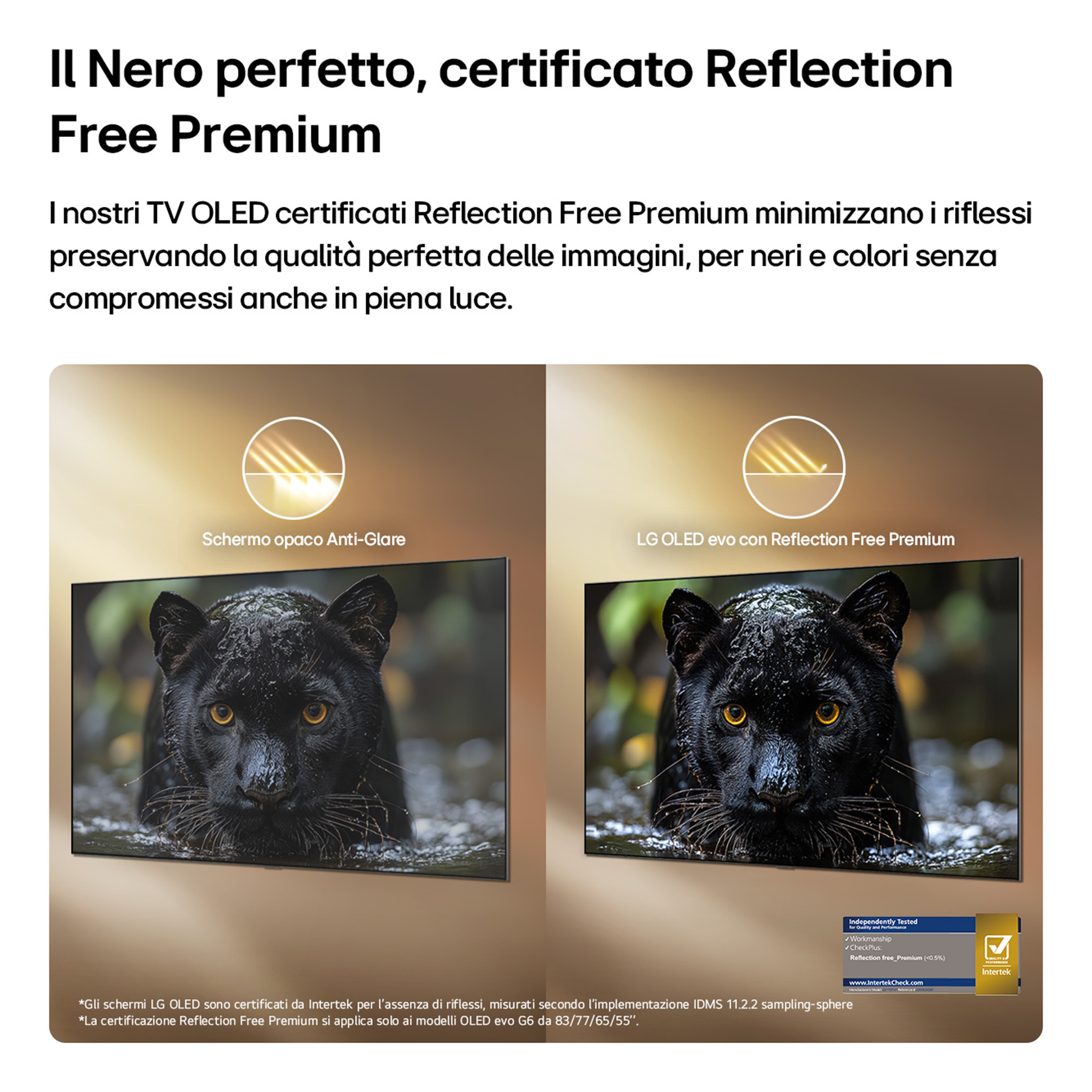 Due schermi TV affiancati, uno con schermo opaco anti-riflesso, l'altro con LG OLED evo.