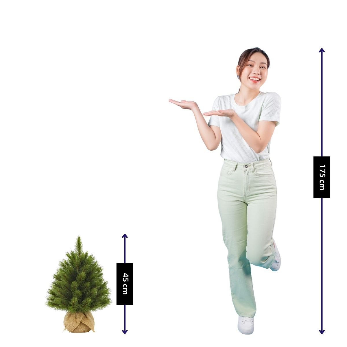 A woman stands next to a small Christmas tree. The tree is 45 cm tall, the woman 175 cm.